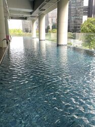 Zedge (D11), Apartment #506804571